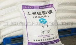 纯碱现货最新爆料新闻,最新市场爆料揭示行业动态